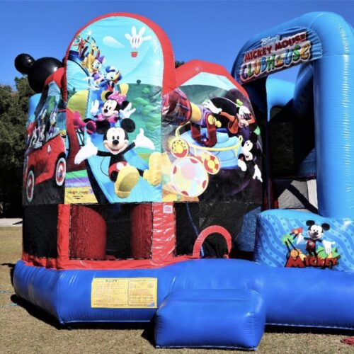 Combo Mickey and Minnie